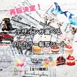 画像1: 【在庫整理50％OFF】デザインが選べるフルカラーシート　20ｘ10ｃｍ (1)