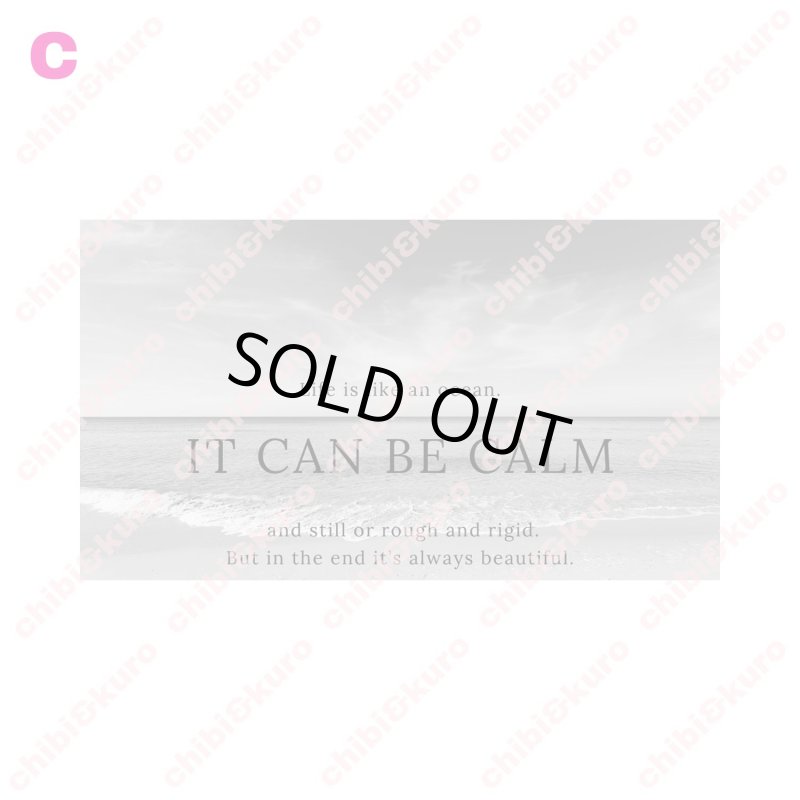 画像4: 【25%OFF 在庫限り】モノトーンフォトフルカラーシート (4)