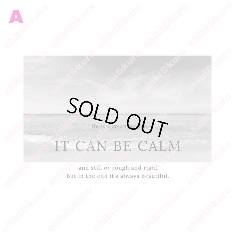 画像2: 【25%OFF 在庫限り】モノトーンフォトフルカラーシート (2)