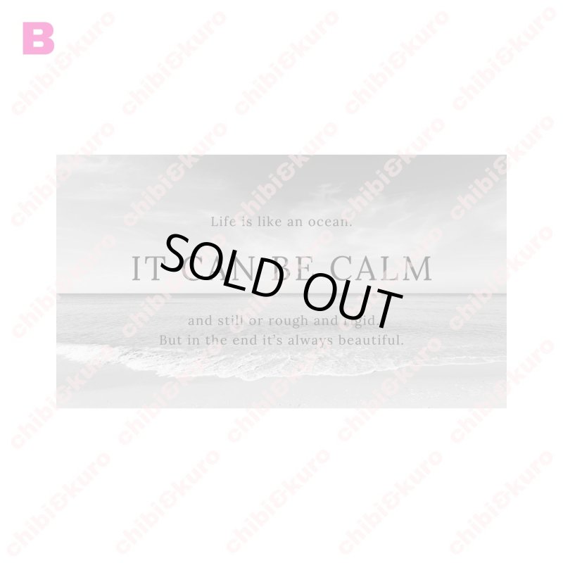 画像3: 【25%OFF 在庫限り】モノトーンフォトフルカラーシート (3)