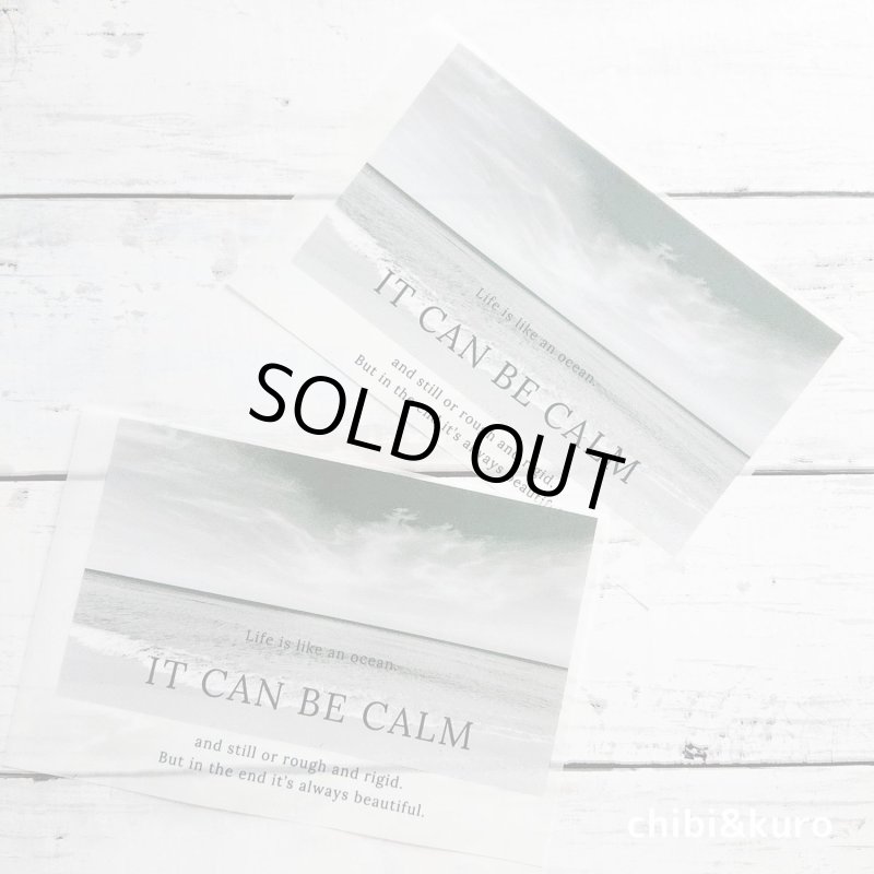 画像1: 【25%OFF 在庫限り】モノトーンフォトフルカラーシート (1)