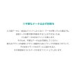 画像13: オリジナルデザインオーダーフルカラー転写シート (13)