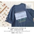 画像5: 【25％OFF　在庫限り】モノトーンフォトフルカラーシート (5)