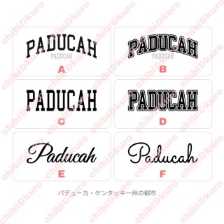 アイロンシート 会員様限定企画】100Pプレゼントキャンペーン◇フルカラー