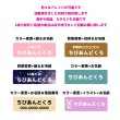 画像2: 持ち込みイラストOK◆カラー変更＆名入れ専用◆カスタマイズお名前シートA◆５枚セット◆2列におすすめ (2)