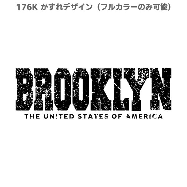 画像11: アメカジコーデの主役に◆カレッジロゴ風文字アイロンシート【A】 (11)