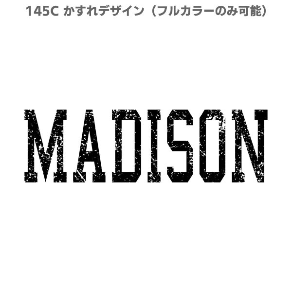 画像27: 【刺繍風＆枠ありデザイン新登場/お試し販売10％OFF〜10/31まで】アメカジ風文字ロゴアイロンシート【Madison】｜Tシャツ・犬服・バッグをおしゃれにアレンジ (27)