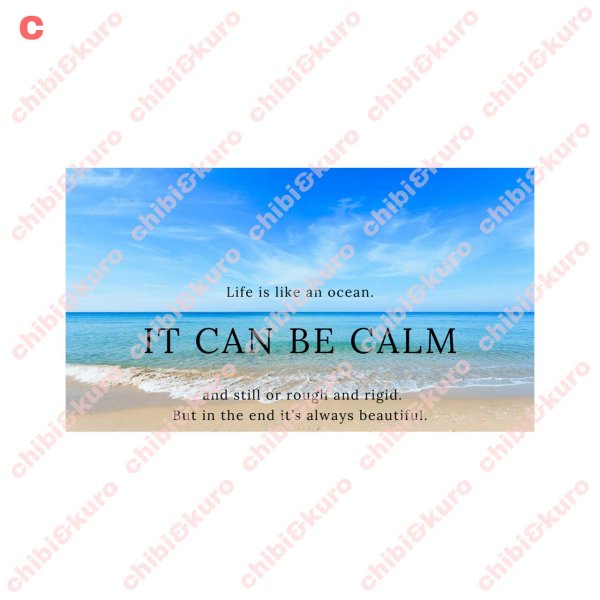 画像3: 【文字変更OK】フォトフルカラーシート【A】｜フォトデザイン×英字ロゴ フルカラー転写アイロンシート   (3)