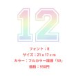 画像10: 【お試し販売10％OFF〜6/25まで】背番号・お名前専用オーダーフルカラー転写シート (10)