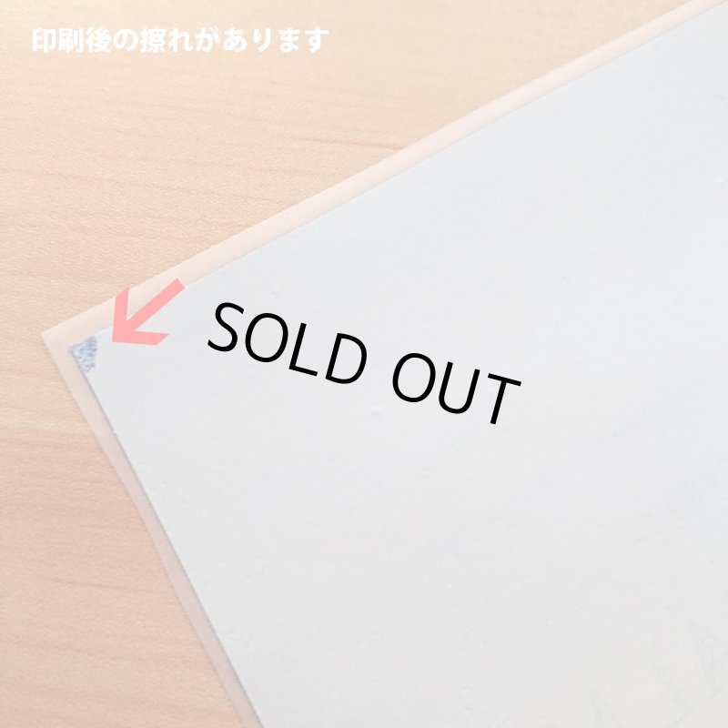 画像15: 【B品・コールド剥離】フォトフルカラーシート (15)