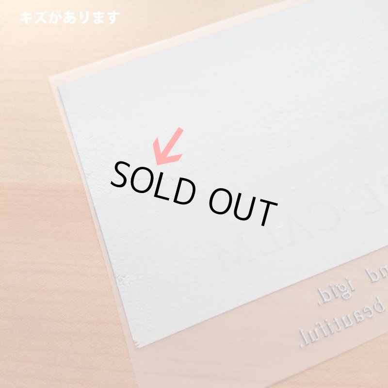 画像17: 【B品・コールド剥離】フォトフルカラーシート (17)