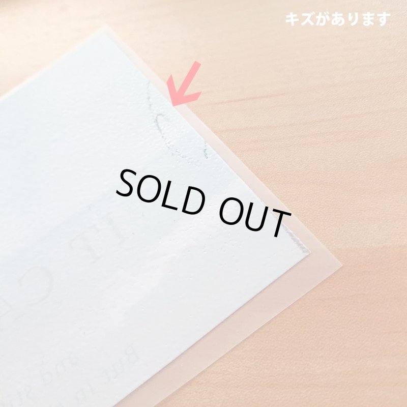 画像10: 【B品・コールド剥離】フォトフルカラーシート (10)