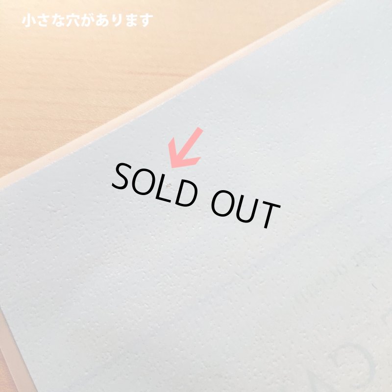 画像16: 【B品・コールド剥離】フォトフルカラーシート (16)