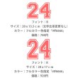 画像6: 【お試し販売10％OFF〜6/25まで】背番号・お名前専用オーダーフルカラー転写シート (6)
