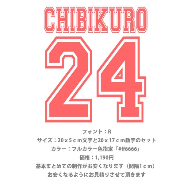 画像8: お好きな文字・サイズ・カラーで制作◆背番号・お名前専用オーダーフルカラーアイロンシート (8)
