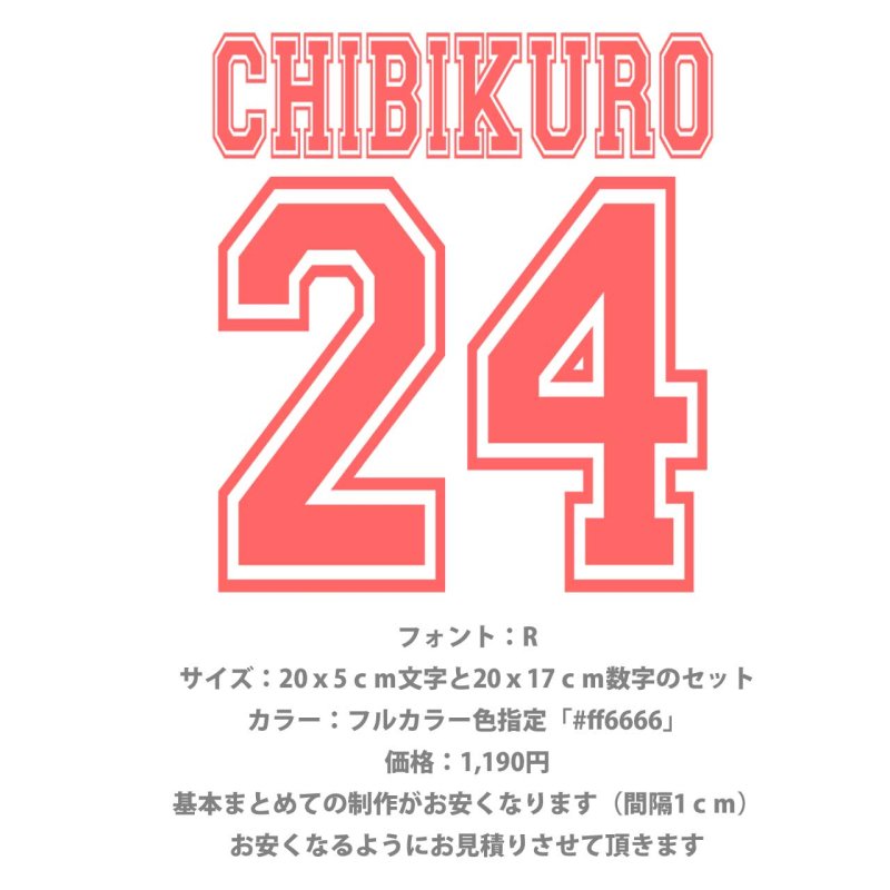 画像9: お好きな文字でお作ります◆背番号・お名前専用オーダーフルカラー転写シート (9)
