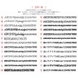 画像4: 【お試し販売10％OFF〜6/25まで】フルカラー専用◆お好きなカラーで制作可◆文字変更可◆ベースボールプリントシート (4)