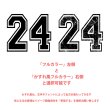 画像4: 【お試し販売10％OFF〜6/25まで】背番号・お名前専用オーダーフルカラー転写シート (4)