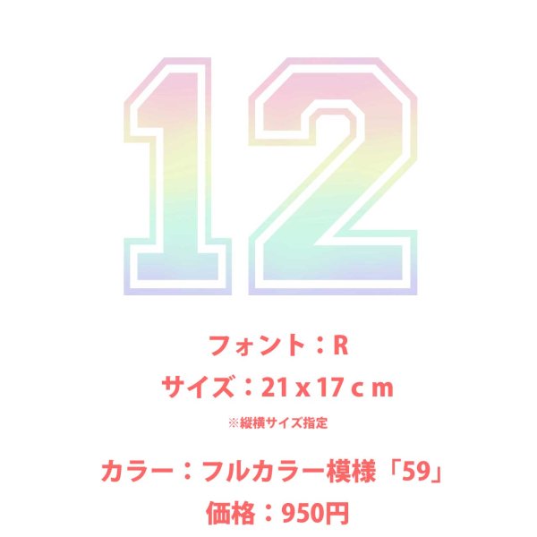 画像20: お好きな文字・サイズ・カラーで制作◆背番号・お名前専用オーダーフルカラーアイロンシート (20)