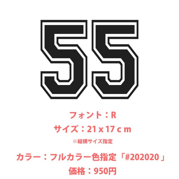 画像21: お好きな文字・サイズ・カラーで制作◆背番号・お名前専用オーダーフルカラーアイロンシート (21)