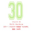 画像15: お好きな文字でお作ります◆背番号・お名前専用オーダーフルカラー転写シート (15)