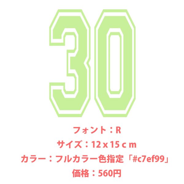 画像17: お好きな文字・サイズ・カラーで制作◆背番号・お名前専用オーダーフルカラーアイロンシート (17)