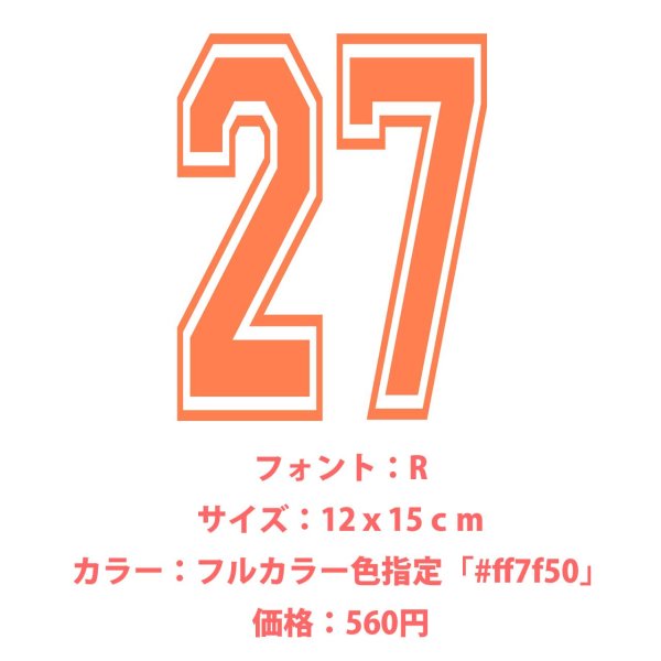 画像16: お好きな文字・サイズ・カラーで制作◆背番号・お名前専用オーダーフルカラーアイロンシート (16)