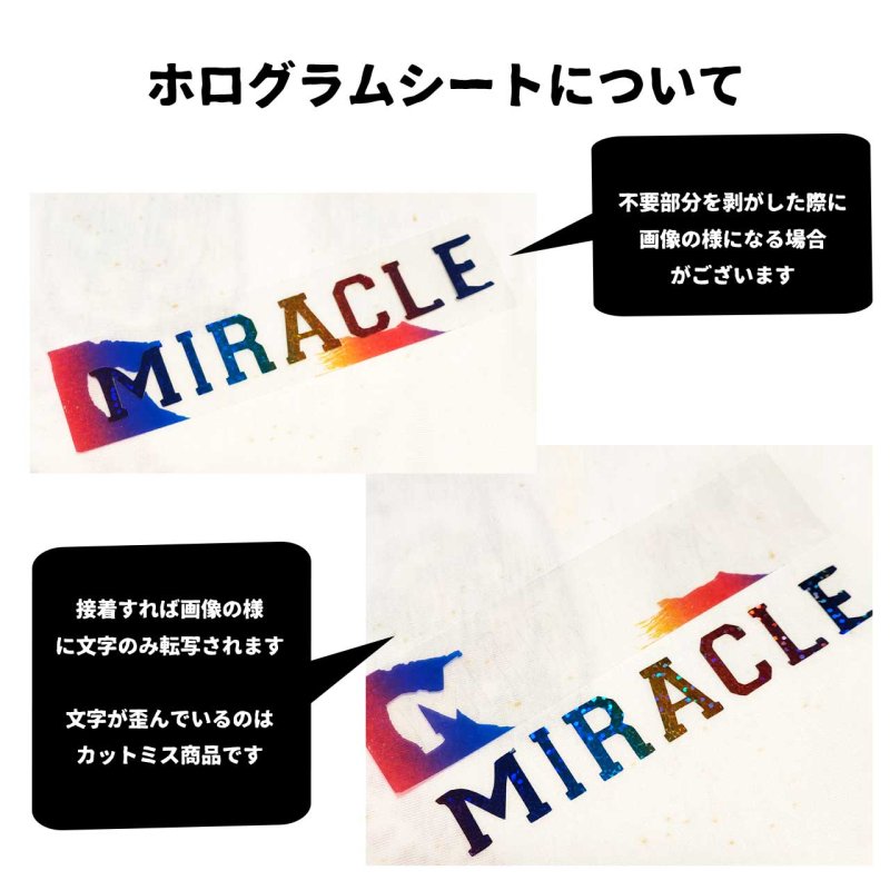 画像3: プレゼント付き◆はがし済◆詰め込み文字セット　20ｘ7ｃｍ◆お1人様5点まで (3)