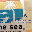 画像8: 【50%OFF】SUMMERsetフルカラーシート (8)