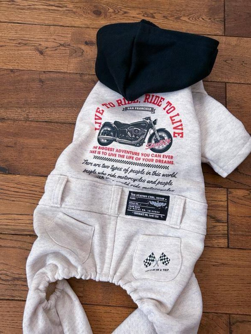 画像1: 【新作お試し販売10％OFF〜10/31まで】お好きな枠色お付けいたします◆バイクsetフルカラーシート【全18種類・横長】
