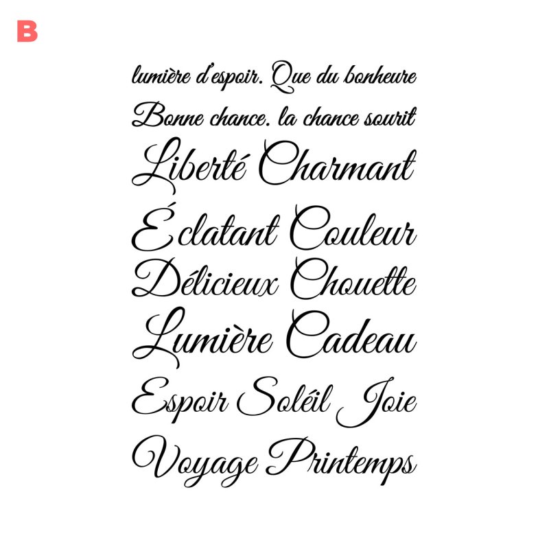 画像3: 新春特別企画第１弾〜1/26まで◆枚数が増えるとお得・最大50％off◆お好きなカラーに変更可◆フランス語文字ロゴフルカラーシート　20ｘ30ｃｍ【全16種類】 (3)