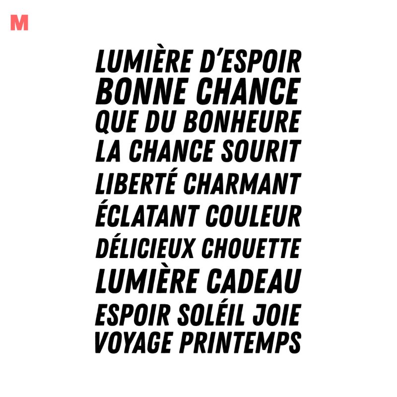 画像14: 新春特別企画第１弾〜1/26まで◆枚数が増えるとお得・最大50％off◆お好きなカラーに変更可◆フランス語文字ロゴフルカラーシート　20ｘ30ｃｍ【全16種類】 (14)