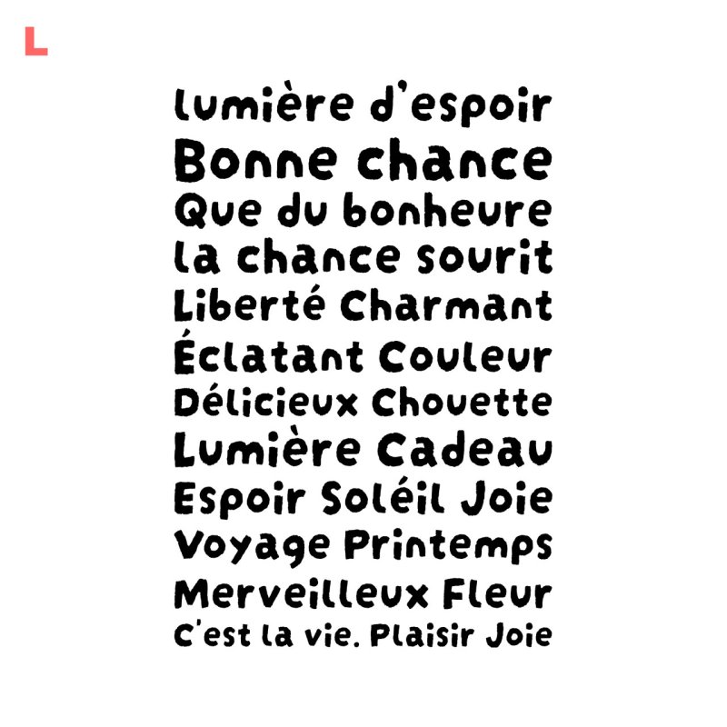 画像13: 新春特別企画第１弾〜1/26まで◆枚数が増えるとお得・最大50％off◆お好きなカラーに変更可◆フランス語文字ロゴフルカラーシート　20ｘ30ｃｍ【全16種類】 (13)