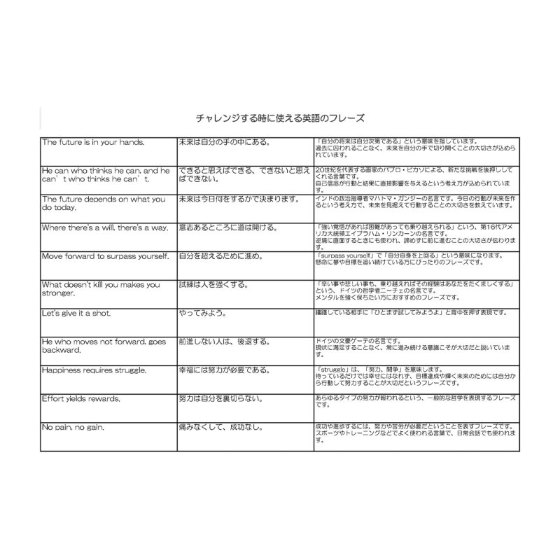 画像3: 新春特別企画第２弾〜2/2まで◆枚数が増えるとお得・最大50％off◆お好きなカラーに変更可◆チャレンジするときに使う英語ロゴフルカラーシート　20ｘ30ｃｍ (3)