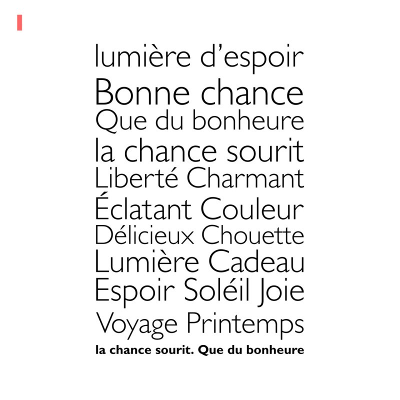 画像10: 新春特別企画第１弾〜1/26まで◆枚数が増えるとお得・最大50％off◆お好きなカラーに変更可◆フランス語文字ロゴフルカラーシート　20ｘ30ｃｍ【全16種類】 (10)