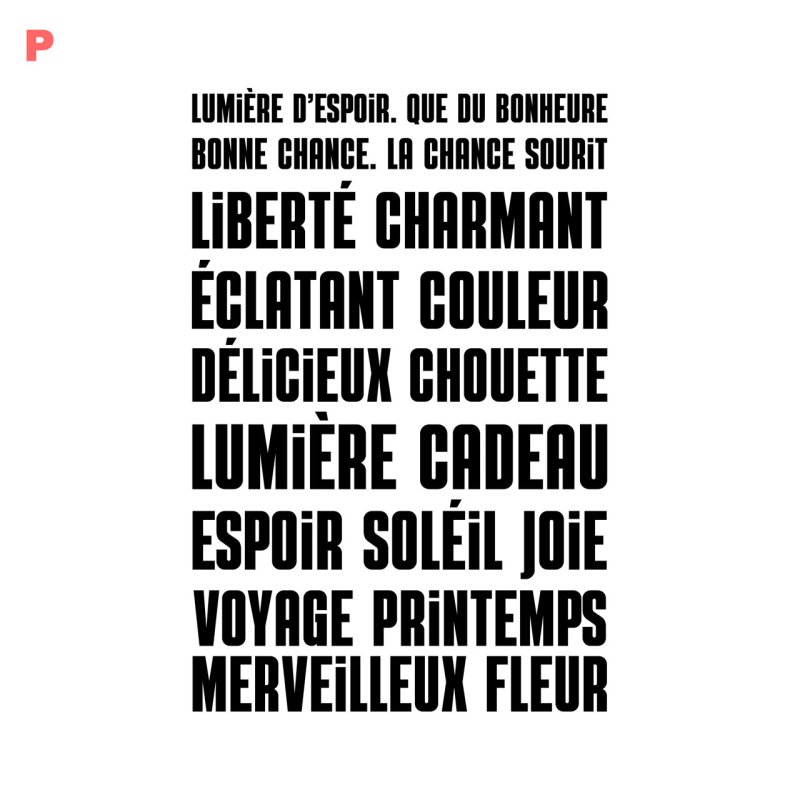 画像17: 新春特別企画第１弾〜1/26まで◆枚数が増えるとお得・最大50％off◆お好きなカラーに変更可◆フランス語文字ロゴフルカラーシート　20ｘ30ｃｍ【全16種類】 (17)