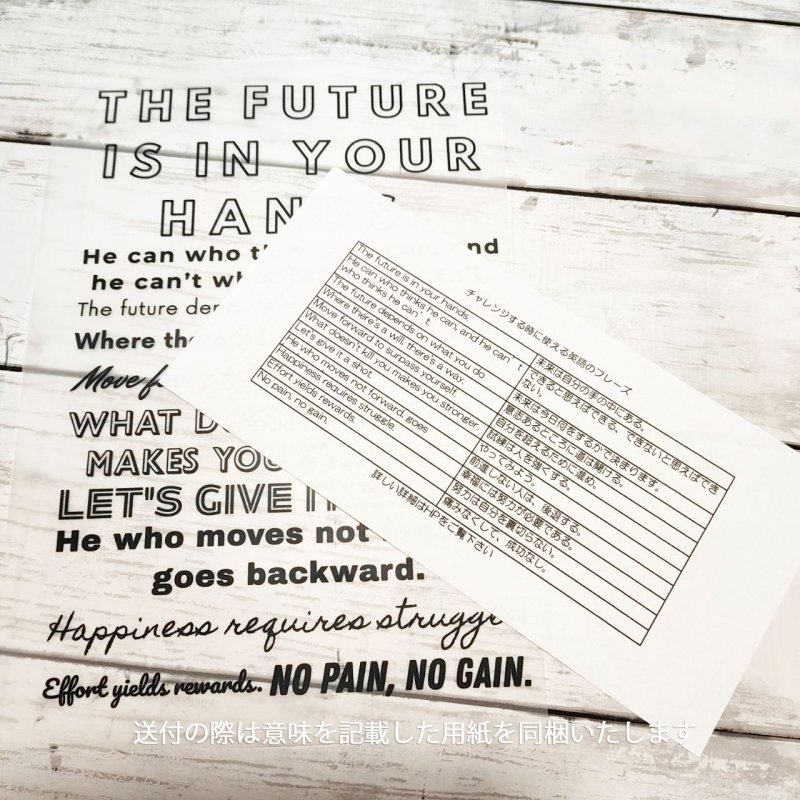 画像4: 新春特別企画第２弾〜2/2まで◆枚数が増えるとお得・最大50％off◆お好きなカラーに変更可◆チャレンジするときに使う英語ロゴフルカラーシート　15ｘ22.5ｃｍ (4)