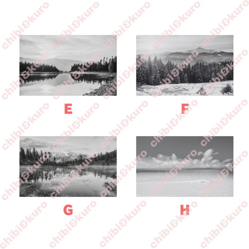 画像2: 【新作お試し販売10％OFF〜4/27まで】好きなカラーで制作してみよう♪文字も選べる/フォト&文字フルカラーシート【B】モノトーン　15種類 (2)