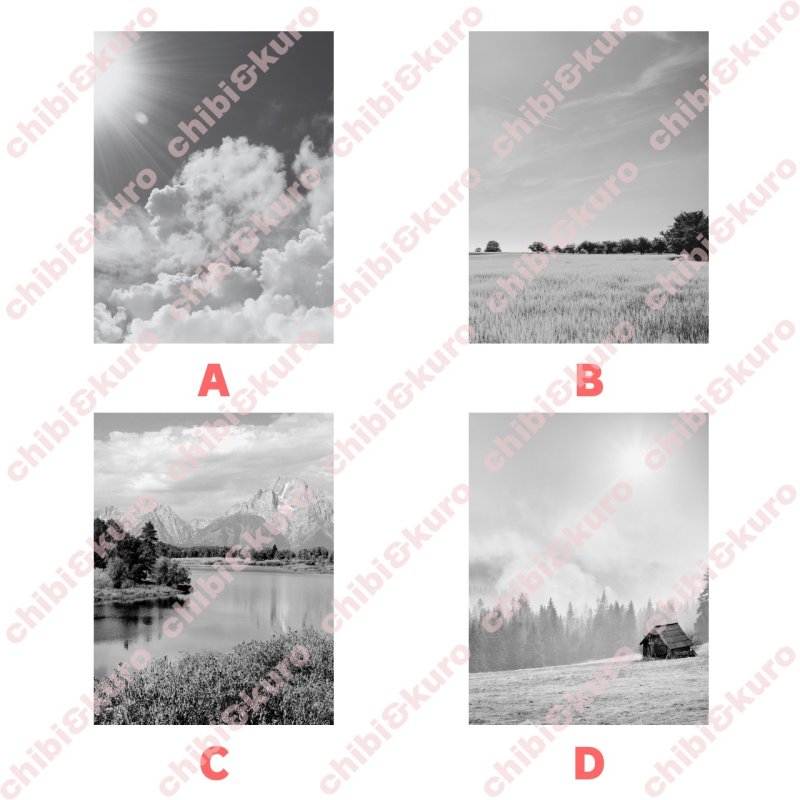 画像1: 【新作お試し販売10％OFF〜4/27まで】好きなカラーで制作してみよう♪文字も選べる/フォト&文字フルカラーシート【C】モノトーン　15種類 (1)