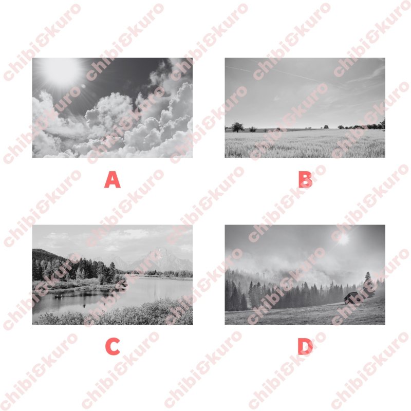 画像1: 【新作お試し販売10％OFF〜4/27まで】好きなカラーで制作してみよう♪文字も選べる/フォト&文字フルカラーシート【B】モノトーン　15種類 (1)