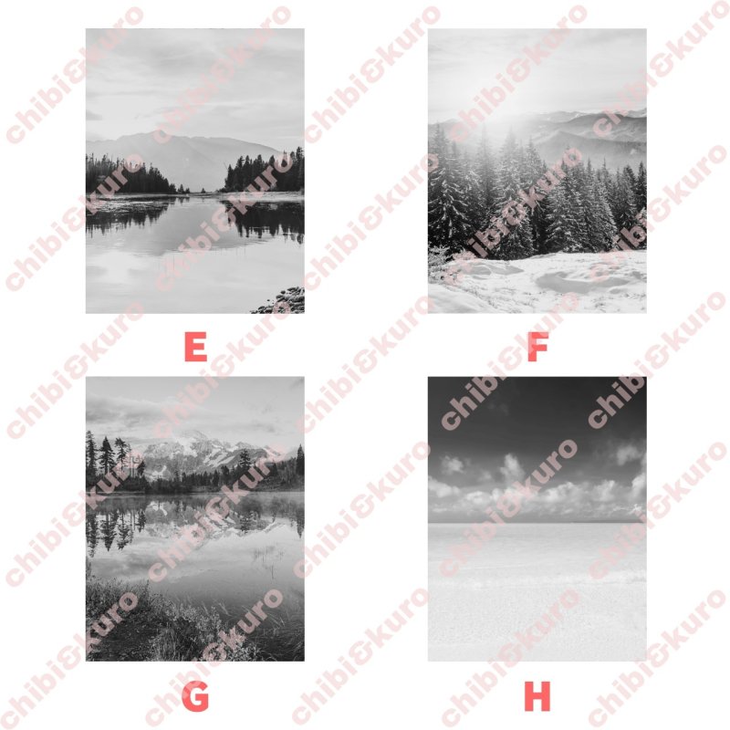 画像2: 【新作お試し販売10％OFF〜4/27まで】好きなカラーで制作してみよう♪文字も選べる/フォト&文字フルカラーシート【C】モノトーン　15種類 (2)