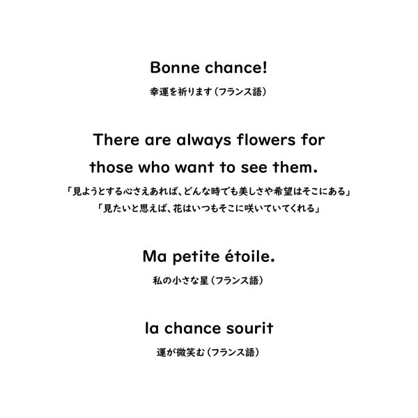 画像2: 【お試し100円】フランス語・英語ロゴ フルカラーシート 8cm幅/ブラック (2)
