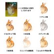 画像2: 【お試し企画◆データ制作料なし◆A4サイズ1,500円◆今だけ500Pプレゼント※条件あり】大切な家族の一員を、かわいいイラストにしてみませんか？オリジナルオーダーフルカラー転写アイロンシート｜持ち込みデザインOK｜写真・イラストからも制作可｜犬服・子ども服・小物に (2)