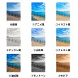 画像2: 【お試し企画◆データ制作料なし◆A4サイズ1,500円◆今だけ500Pプレゼント※条件あり】オリジナルオーダーフルカラー転写アイロンシート｜大切な思い出の1枚を・風景写真OK｜犬服・子ども服・小物に｜持ち込みデザインOK｜ (2)
