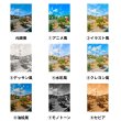 画像1: 【お試し企画◆データ制作料なし◆A4サイズ1,500円◆今だけ500Pプレゼント※条件あり】オリジナルオーダーフルカラー転写アイロンシート｜大切な思い出の1枚を・風景写真OK｜犬服・子ども服・小物に｜持ち込みデザインOK｜ (1)