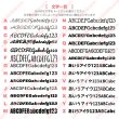 画像4: 【お試し企画◆データ制作料なし◆A4サイズ1,500円◆今だけ500Pプレゼント※条件あり】オリジナルオーダーフルカラー転写アイロンシート｜大切な思い出の1枚を・風景写真OK｜犬服・子ども服・小物に｜持ち込みデザインOK｜ (4)
