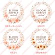 画像2: 新作お試し販売10％OFF〜8/17まで【名入れ・文字変更OK】誕生月フラワー・花 フルカラー転写アイロンシート/全12ヶ月/ Bloom Softly (2)