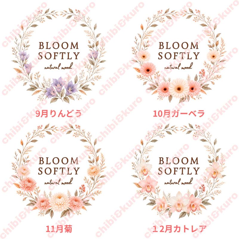 画像3: 新作お試し販売10％OFF〜8/17まで【名入れ・文字変更OK】誕生月フラワー・花 フルカラー転写アイロンシート/全12ヶ月/ Bloom Softly (3)