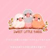 画像2: 新作お試し販売10％OFF〜8/17まで【名入れ・文字変更OK】文鳥３羽 フルカラー転写アイロンシート/かわいい小さな鳥たち (2)
