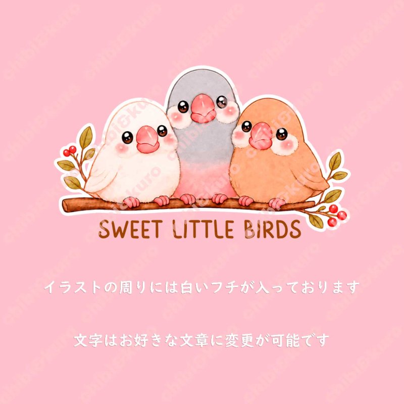 画像2: 新作お試し販売10％OFF〜8/17まで【名入れ・文字変更OK】文鳥３羽 フルカラー転写アイロンシート/かわいい小さな鳥たち (2)